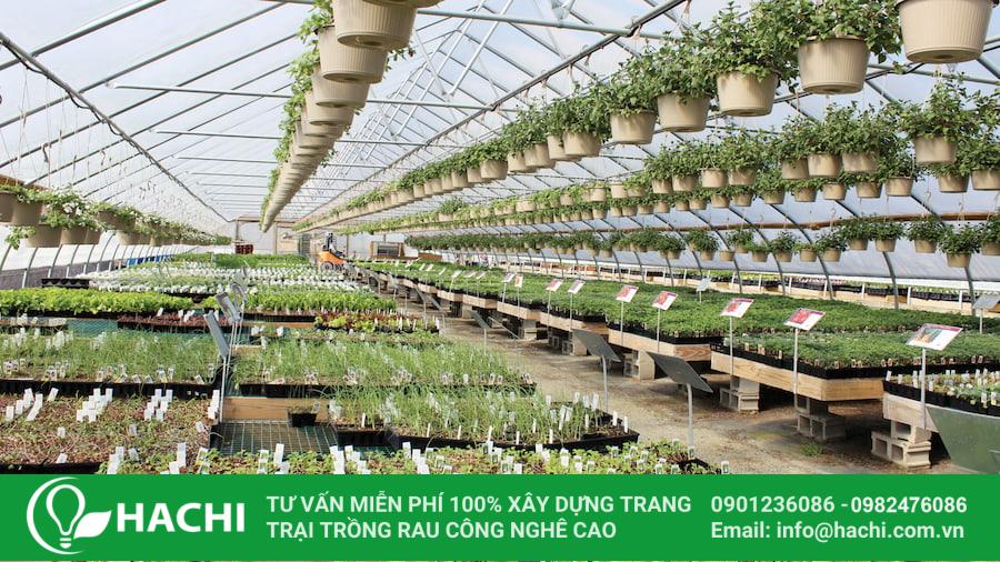 Ưu điểm của nhà màng ươm cây giống