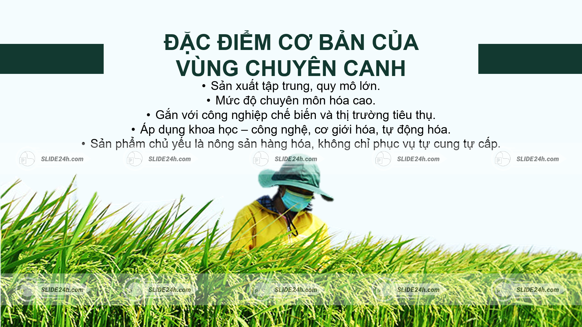 Đặc điểm của vùng chuyên canh trong nông nghiệp.