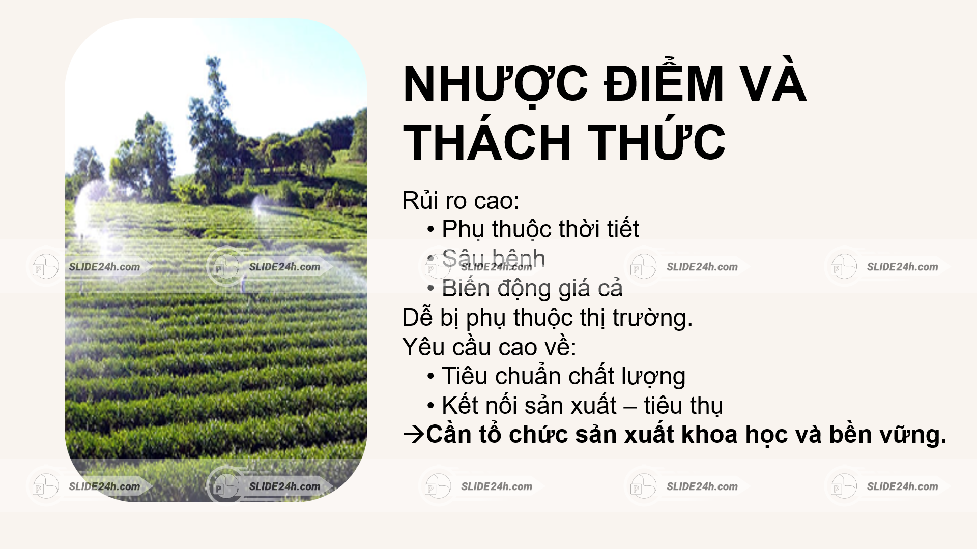 Hạn chế của mô hình chuyên canh nông nghiệp.