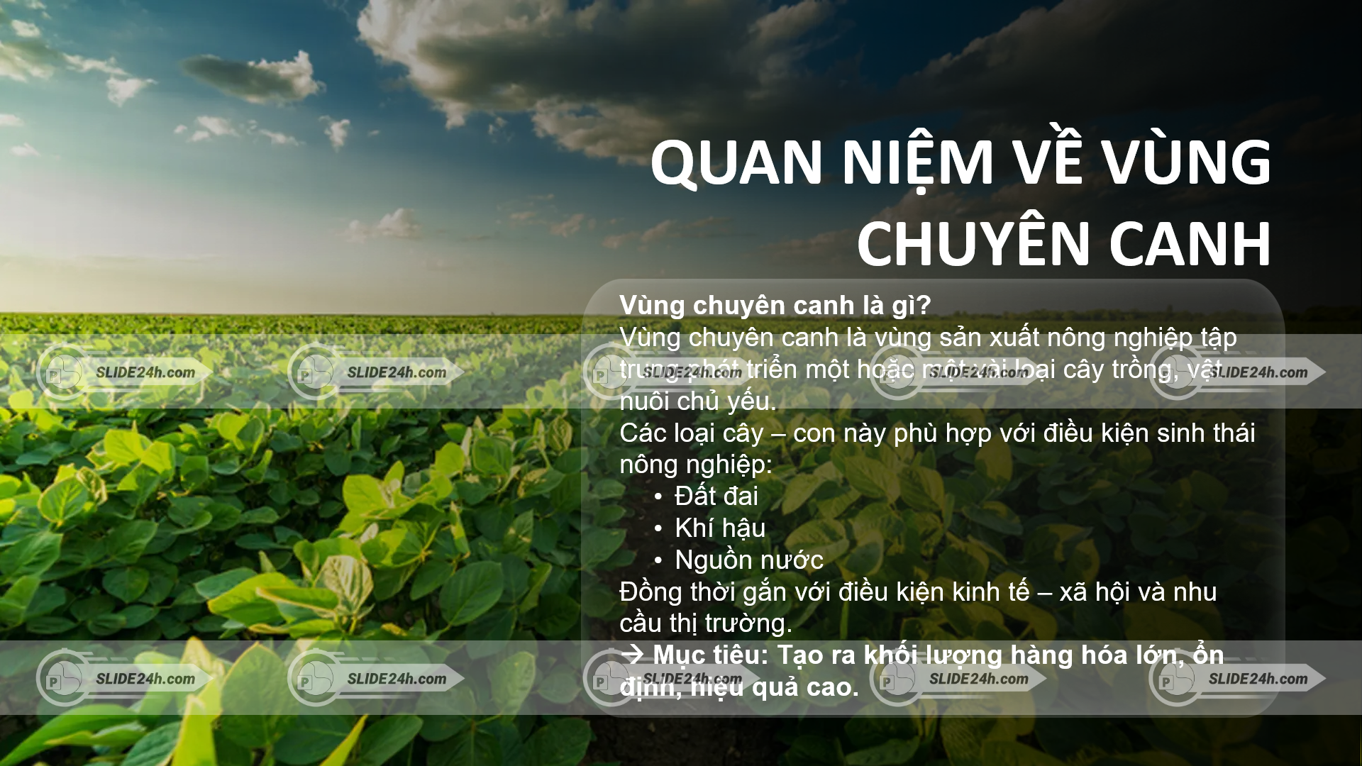 Khái niệm vùng chuyên canh trong nông nghiệp.