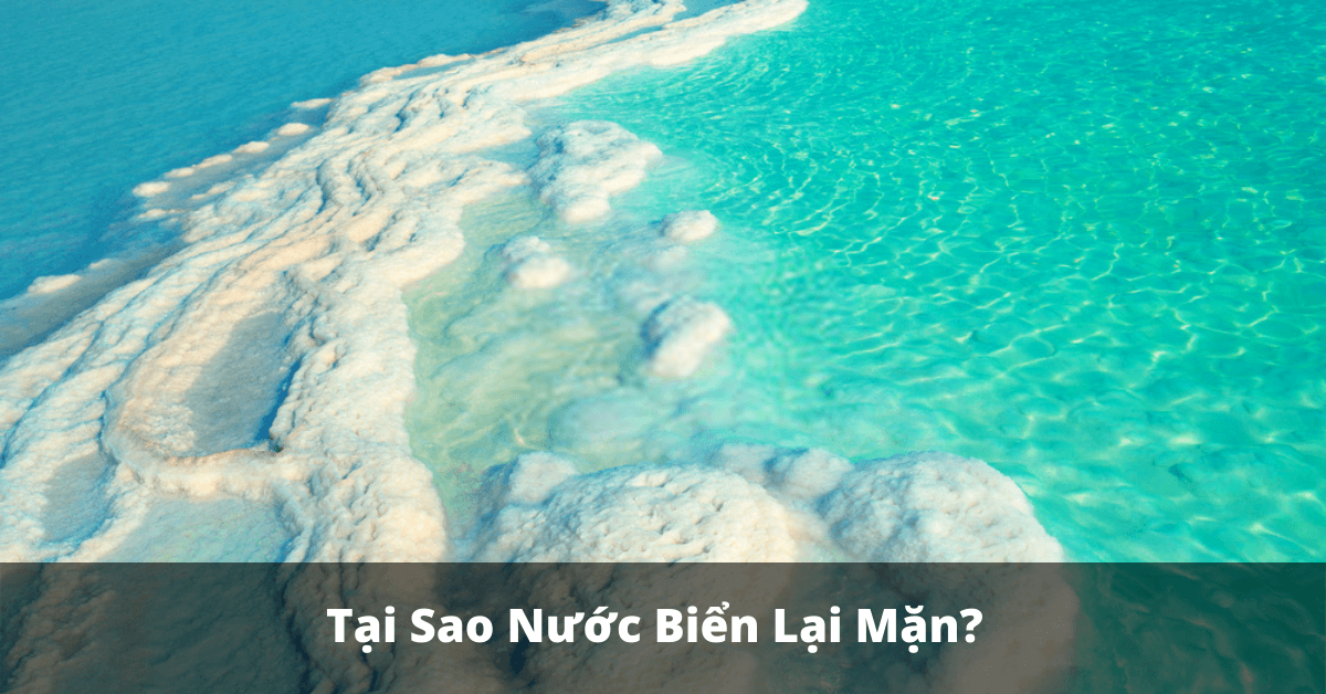 Tại sao nước biển lại mặn