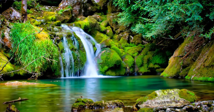 viet mo bai voi vang