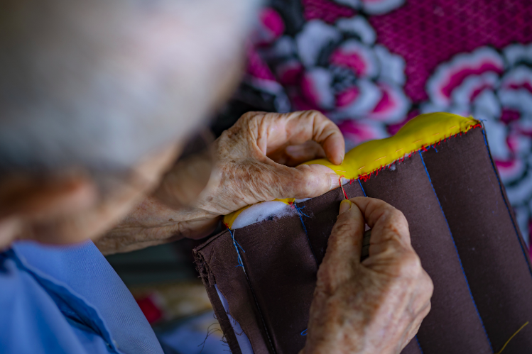 vung co mat do dan so cao nhat nuoc ta