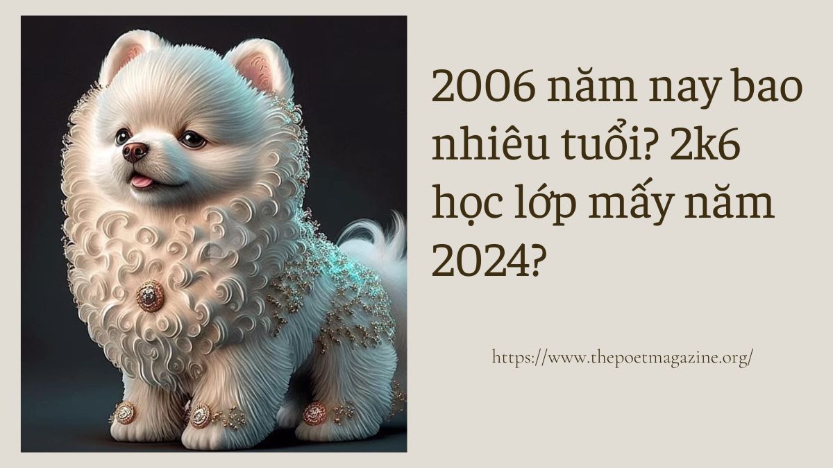 Cách tính tuổi người sinh 2006