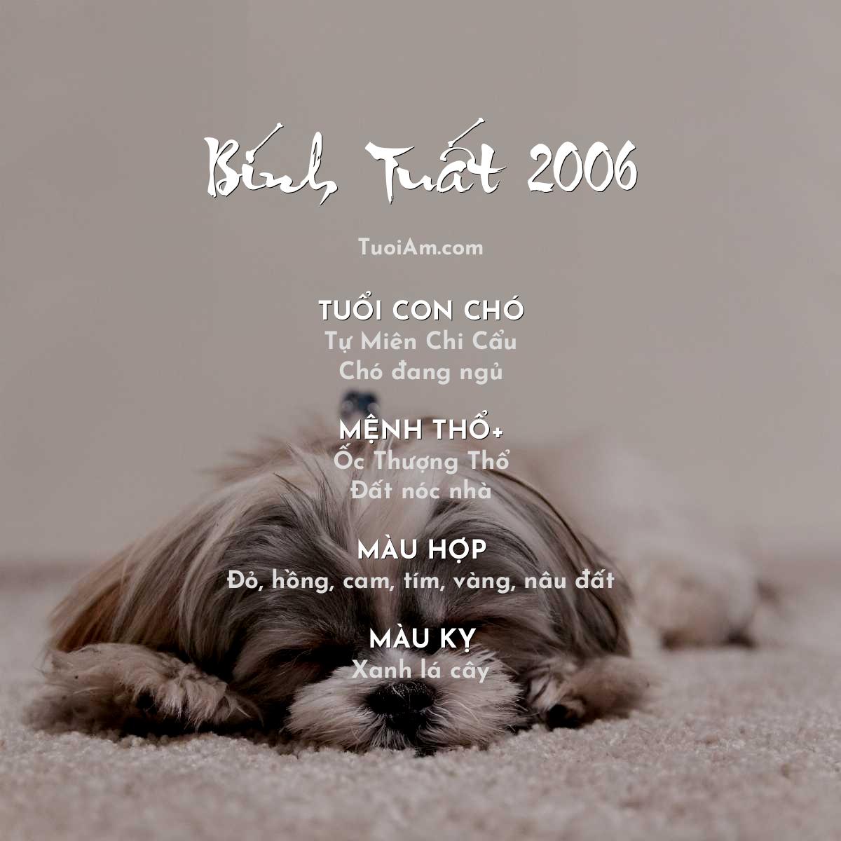 Thông tin tuổi âm Bính Tuất 2006