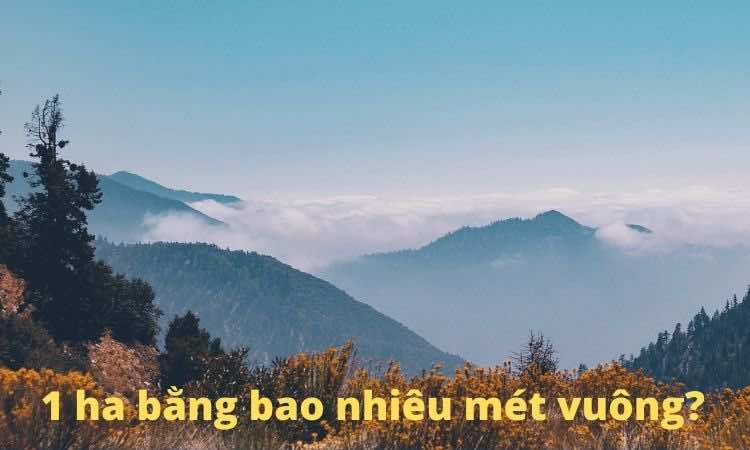 1 ha bằng bao nhiêu mét vuông