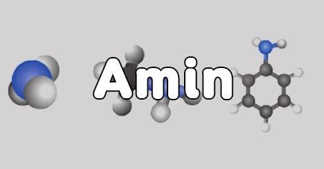 amin beo la gi