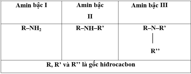 amin beo la gi
