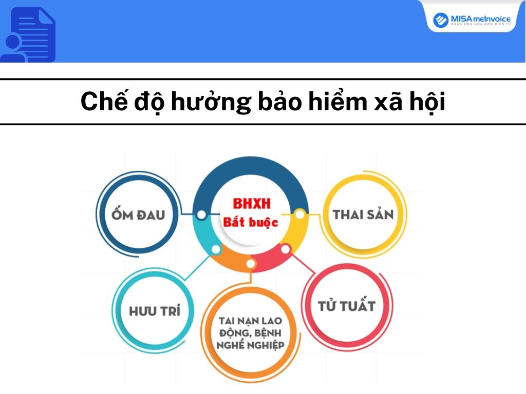 Chế độ hưởng bảo hiểm xã hội mới nhất