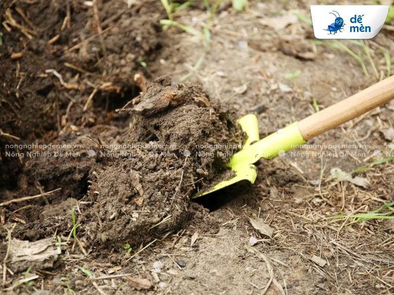 thực trạng đất nông nghiệp ở đồng bằng