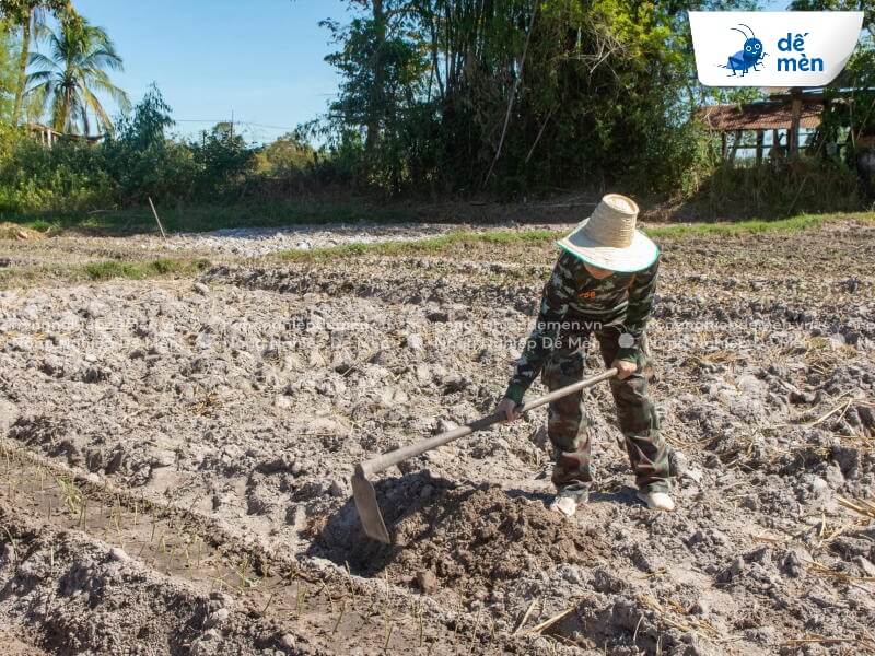 các biện pháp cải tạo đất nông nghiệp ở đồng bằng