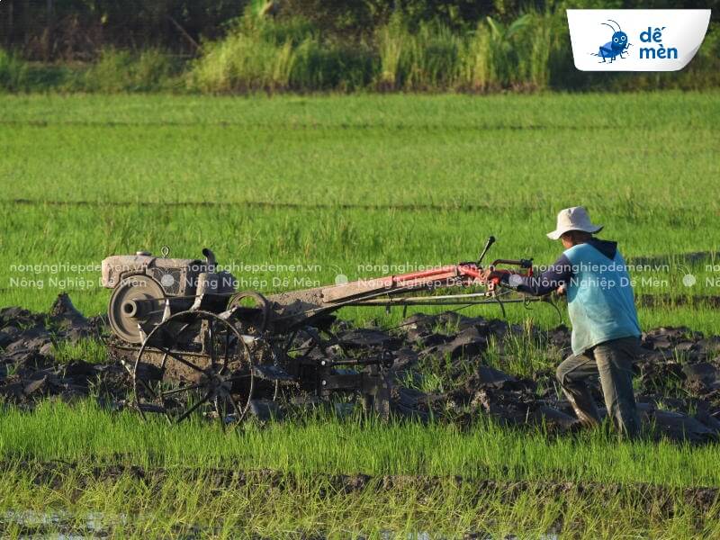 lợi ích cải tạo đất nông nghiệp đồng bằng