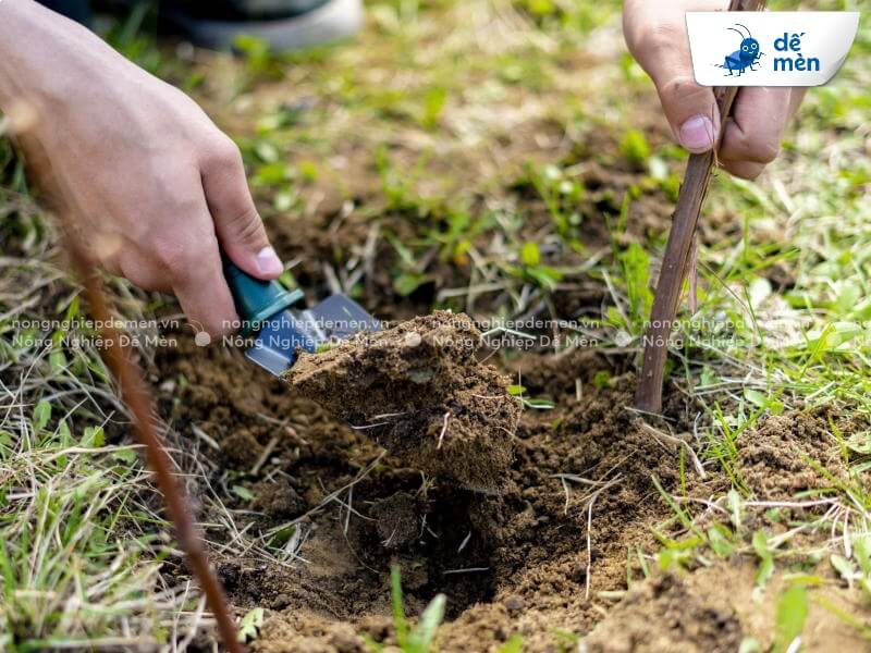 đặc điểm cải tạo đất nông nghiệp đồng bằng