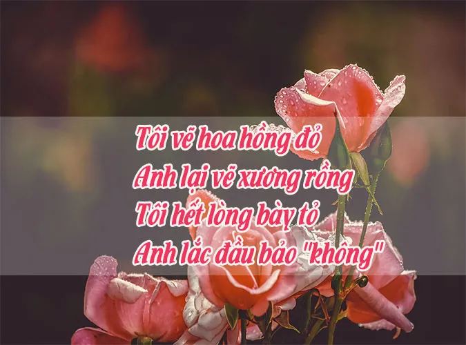 Chùm thơ về hoa hồng hay nhất chạm đến trái tim người đọc 9