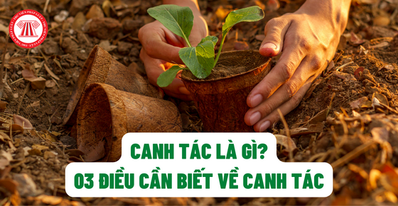 Canh tác là gì? 03 điều cần biết về canh tác