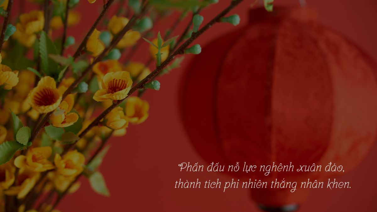 Câu đối Tết hay cho học sinh