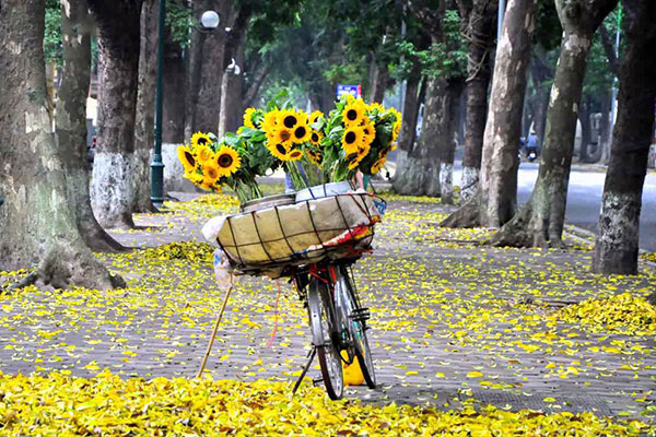 Mùa Thu se lạnh