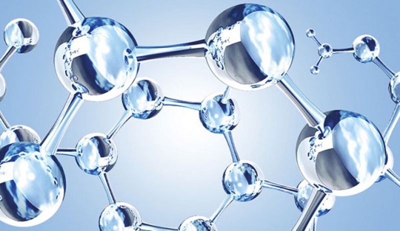 Disaccharide là gì? Sự khác biệt giữa disaccharide, monosaccharide và polysaccharide 2