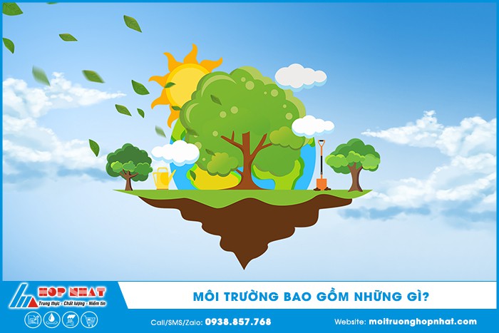Môi trường bao gồm những gì?