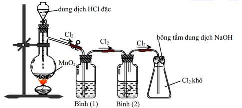 cl-hoa-tri-may-2
