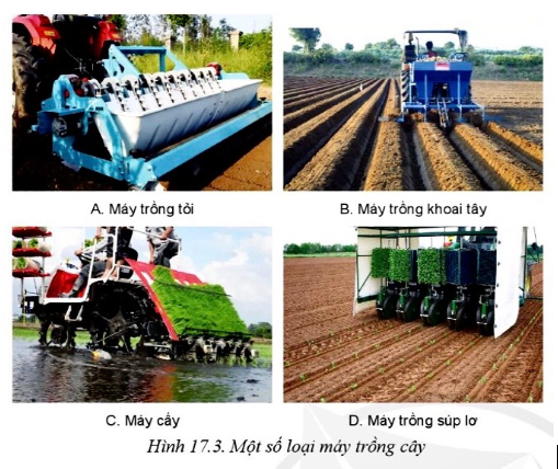 Lý thuyết ứng dụng cơ giới hoá trong trồng trọt - Công nghệ 10</>