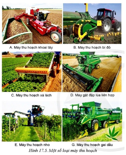 Lý thuyết ứng dụng cơ giới hoá trong trồng trọt - Công nghệ 10</>