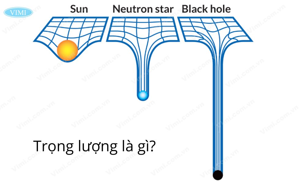 Trọng lượng là gì?
