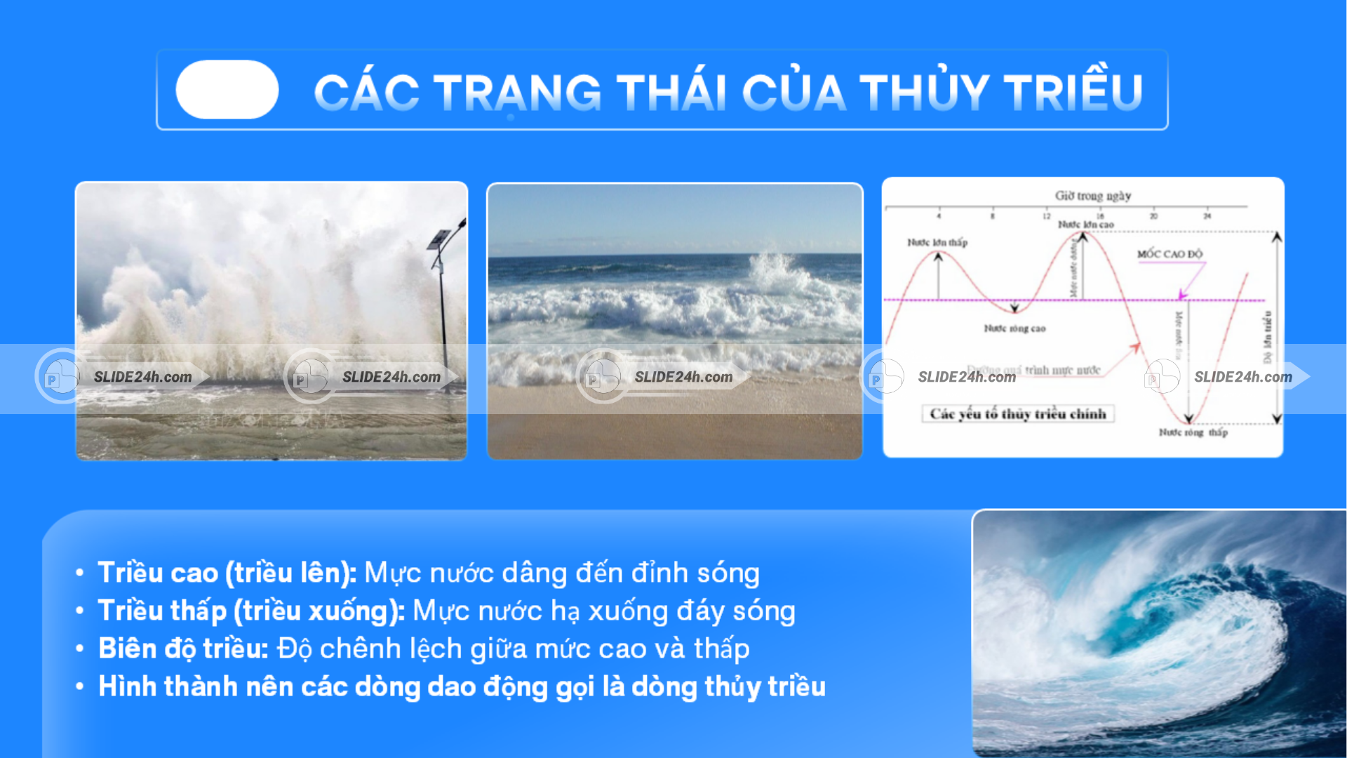 Các trạng thái của thủy triều, gồm triều cao, triều thấp, biên độ triều.