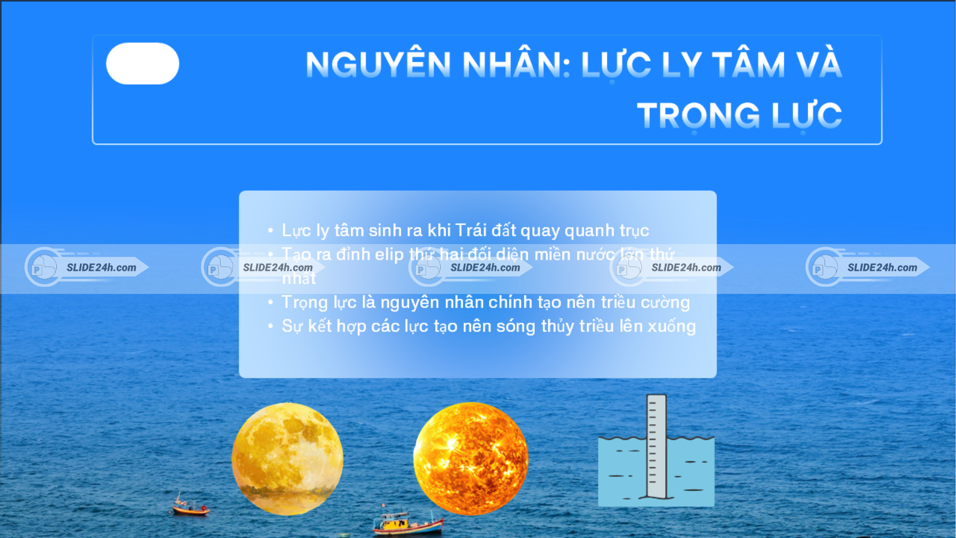 Vai trò của lực ly tâm và trọng lực trong việc hình thành đỉnh elip thứ hai, triều cường và sóng thủy triều lên xuống.