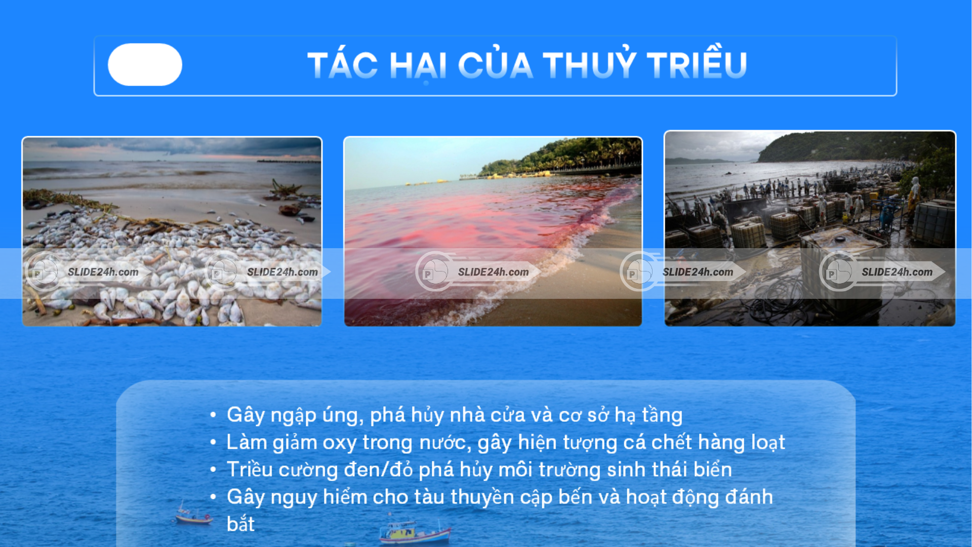 Các tác hại của thủy triều