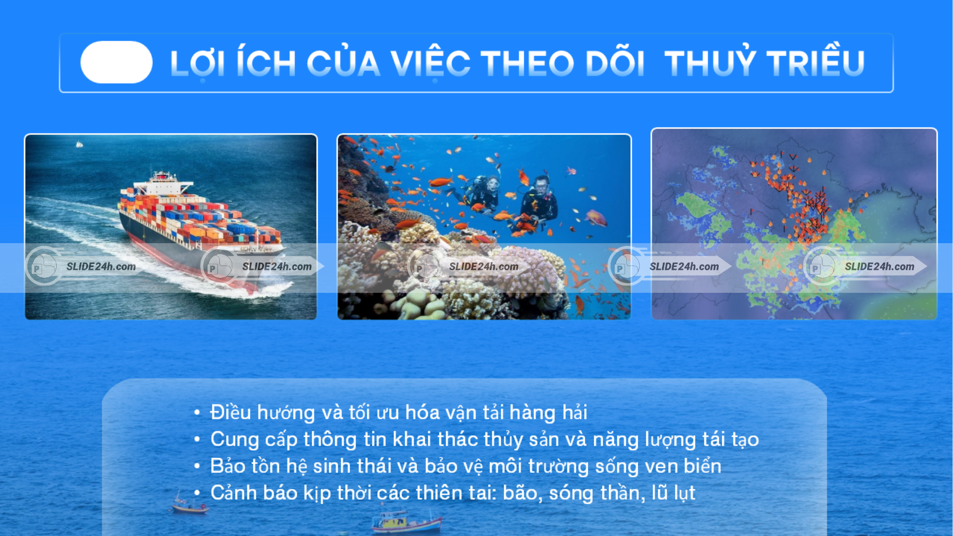 Lợi ích của việc theo dõi thủy triều