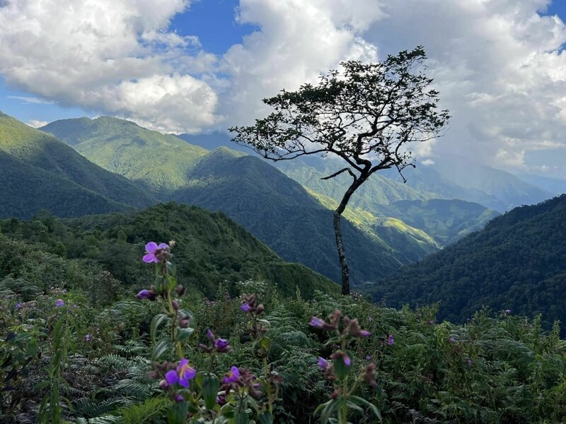 day nui cao nhat nuoc ta la 2