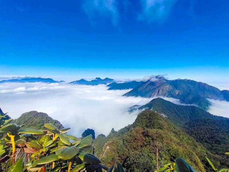 day nui cao nhat nuoc ta la 8
