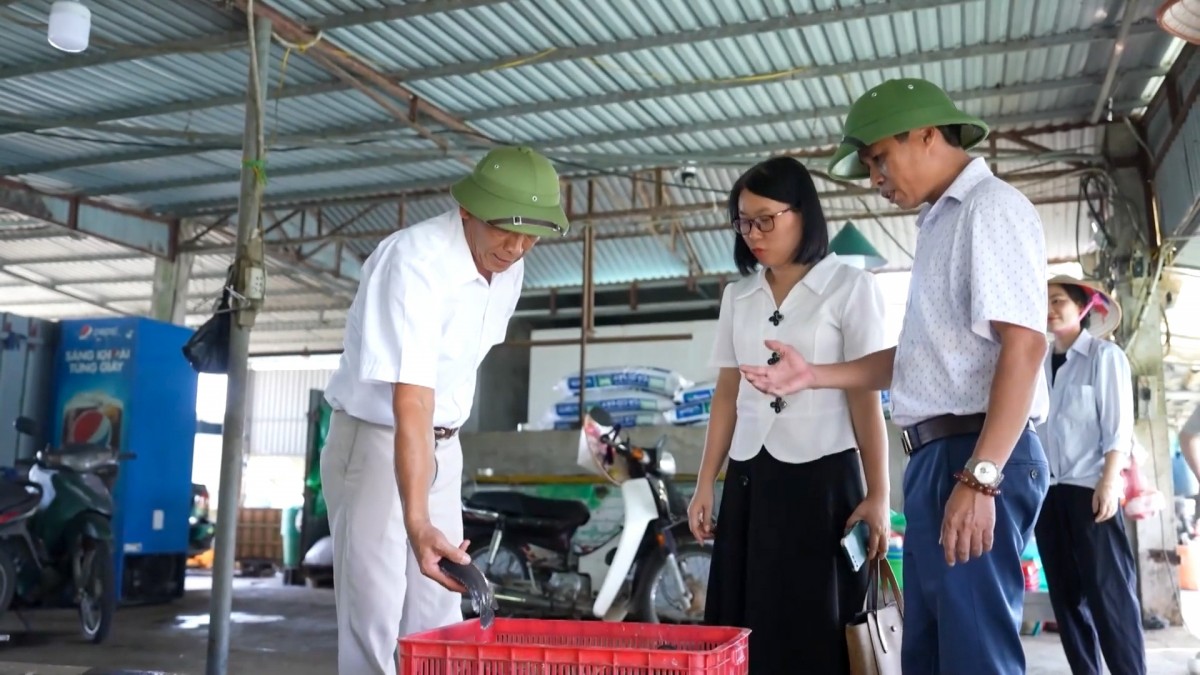Hòa Xá: Tự tin bước vào chặng đường mới với niềm tin và kỳ vọng mới
