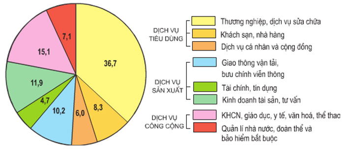dich vu la gi