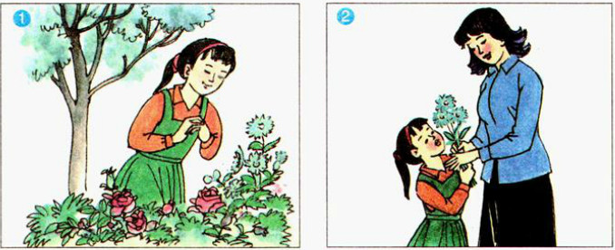 barrefleurs3