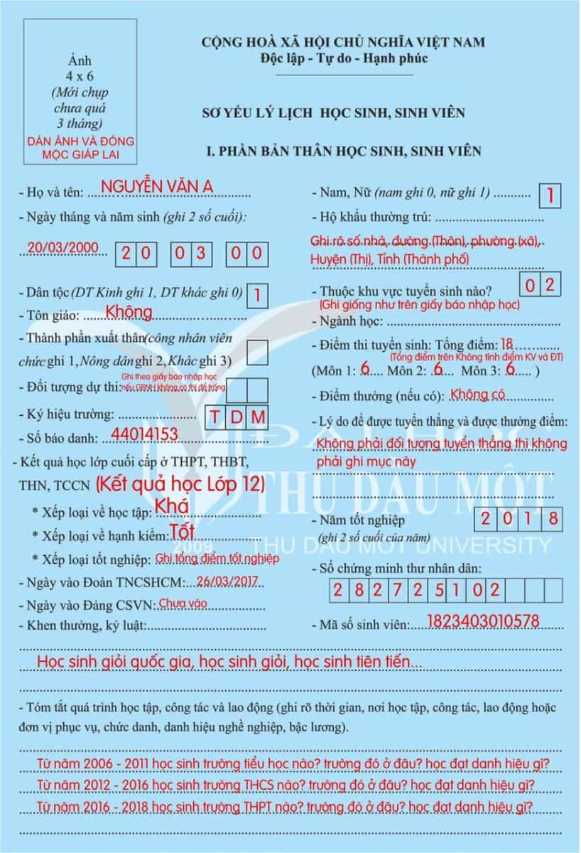Mẫu sơ yếu lý lịch của sinh viên khu vực 2