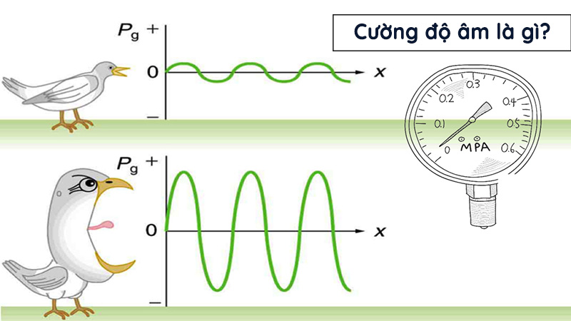 Cường độ âm chính là năng lượng sóng âm truyền đi, đo lường độ mạnh hay yếu của âm thanh phát ra