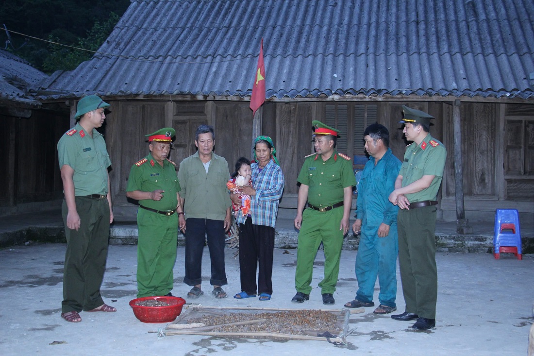 don vi xung luong 17