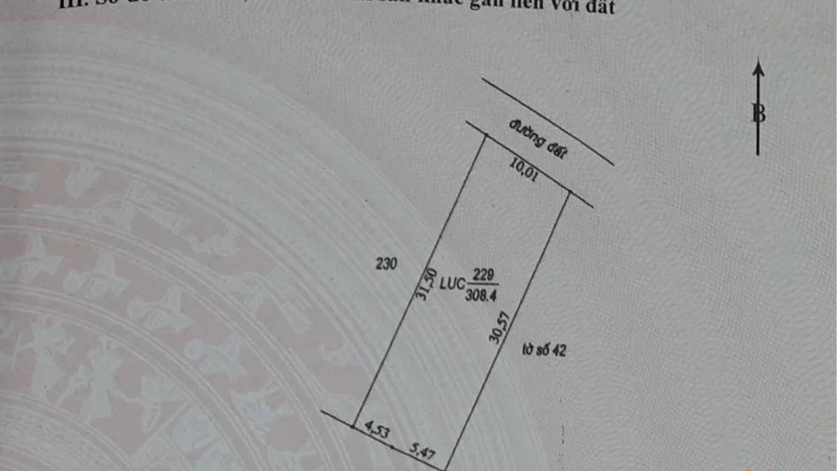 don xin do lai dat