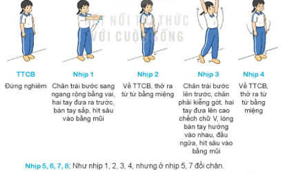 Bài 1: Động tác vươn thở, động tác tay - SGK Giáo dục thể chất 3 Kết nối tri thức</>