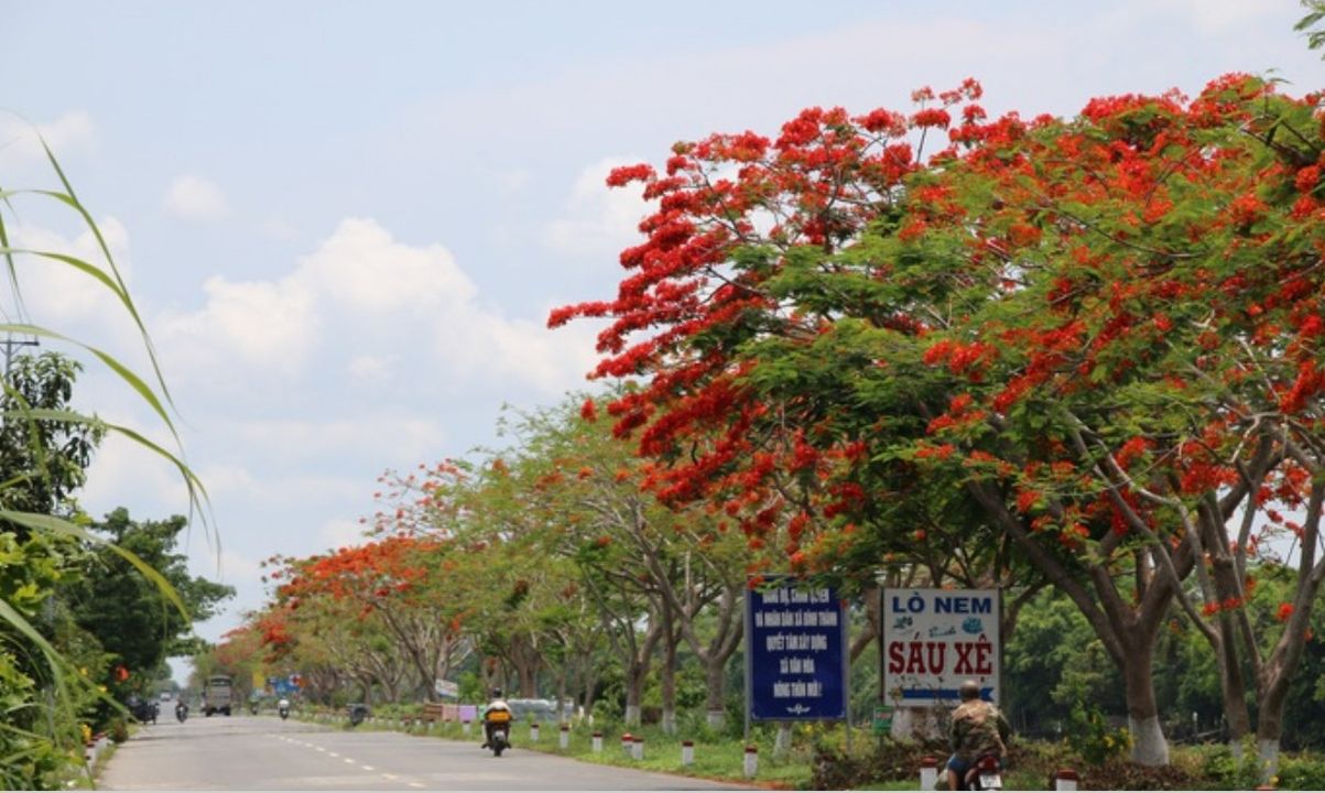 duong tinh lo la gi 1