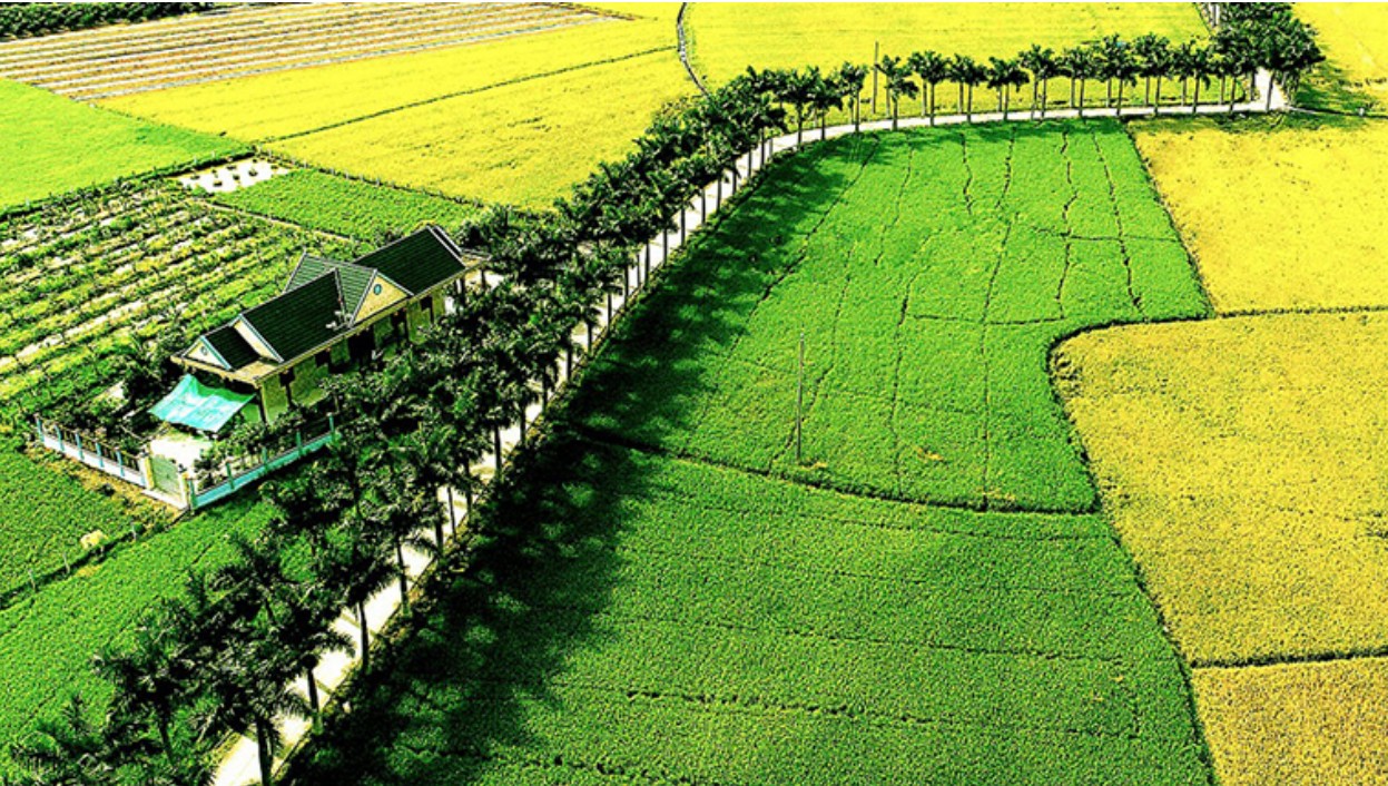 duong tinh lo la gi