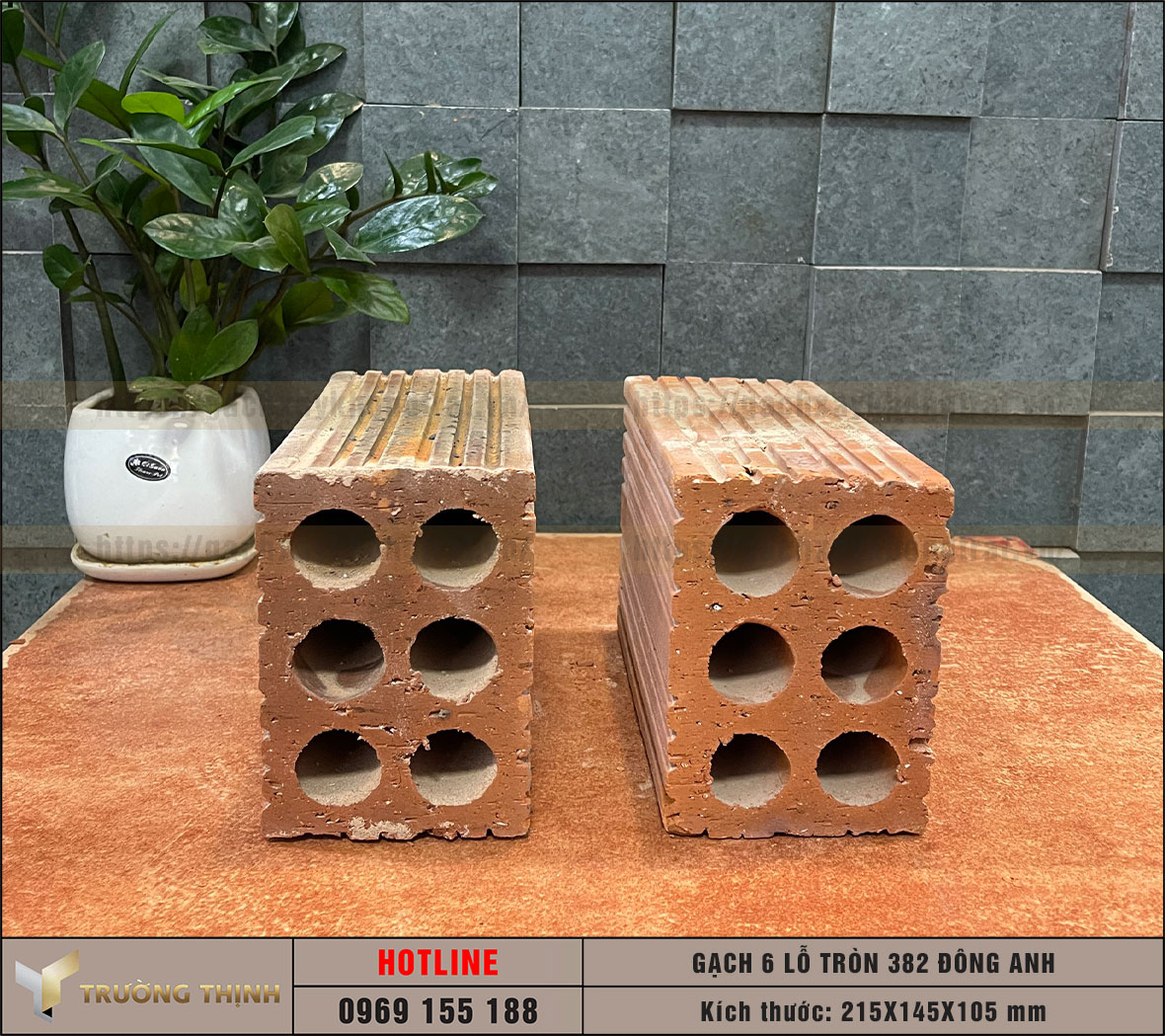 Gạch 6 lỗ tròn - Gạch chống nóng 382 Đông Anh