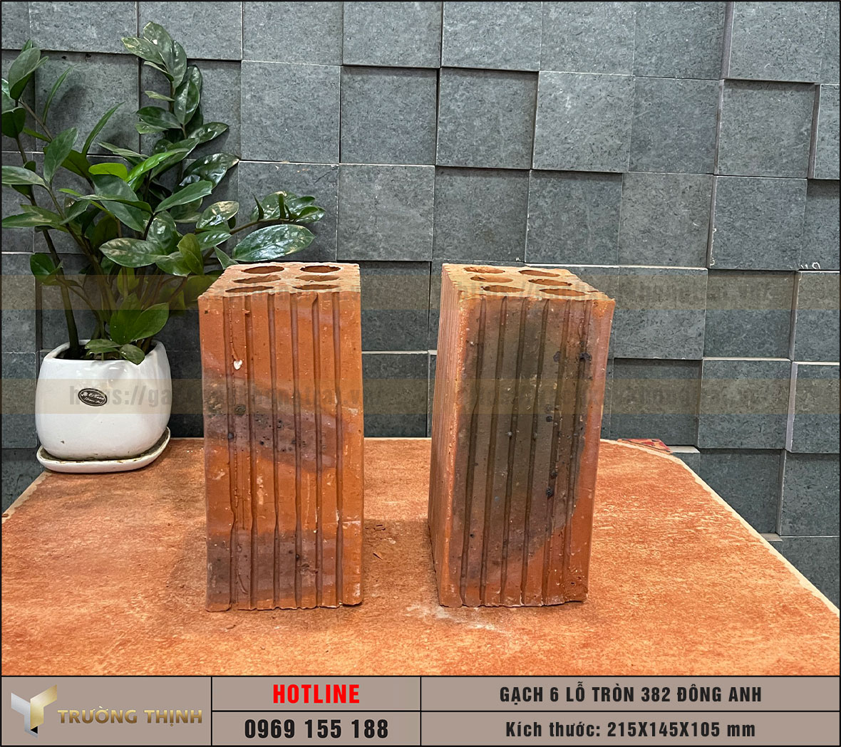 Gạch 6 lỗ tròn - Gạch chống nóng 382 Đông Anh