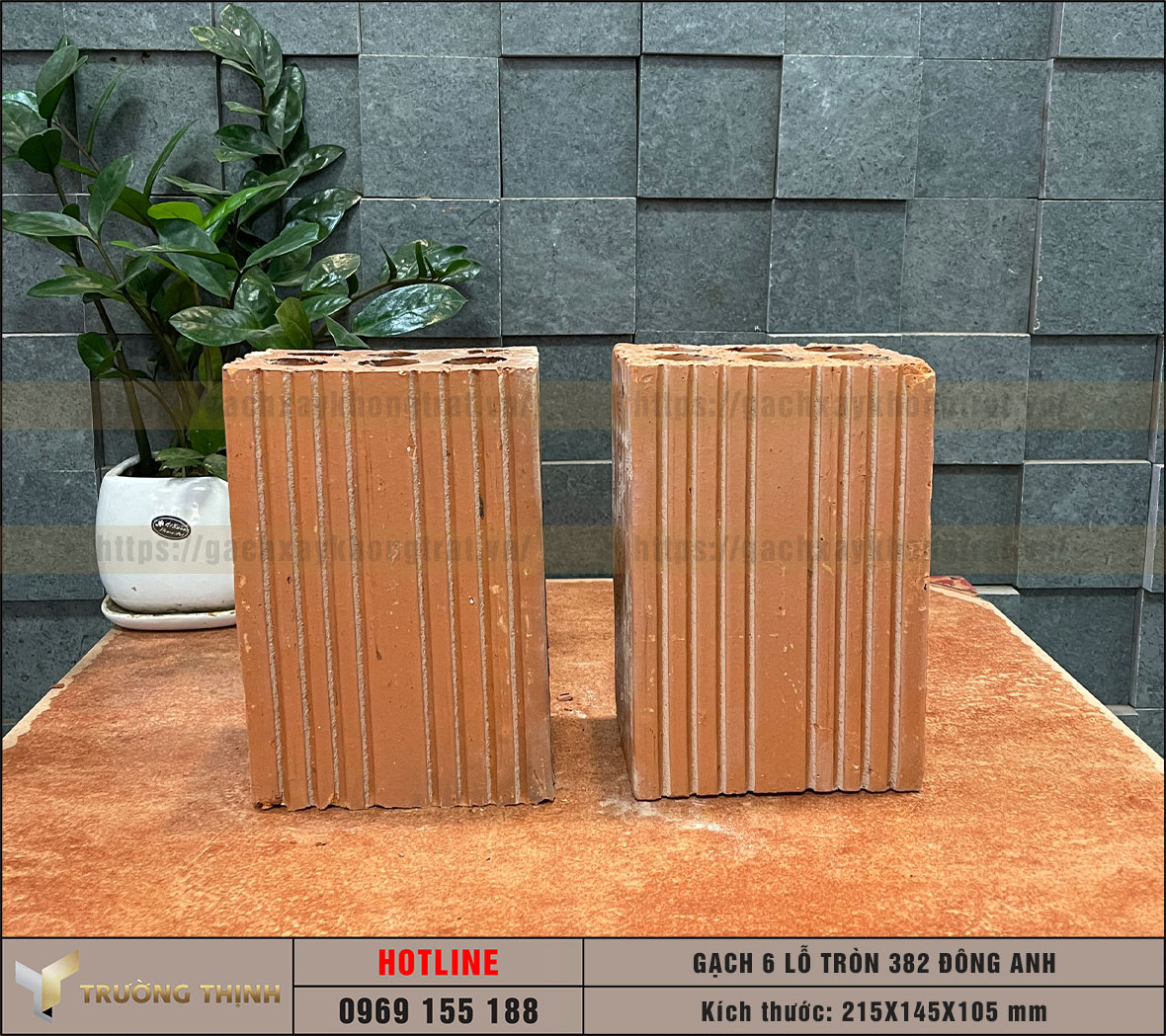 Gạch 6 lỗ tròn - Gạch chống nóng 382 Đông Anh