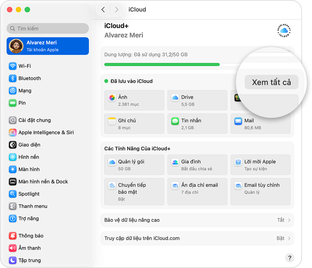 Màn hình máy Mac hiển thị cài đặt iCloud. Mục Xem tất cả cạnh mục Đã lưu vào iCloud.
