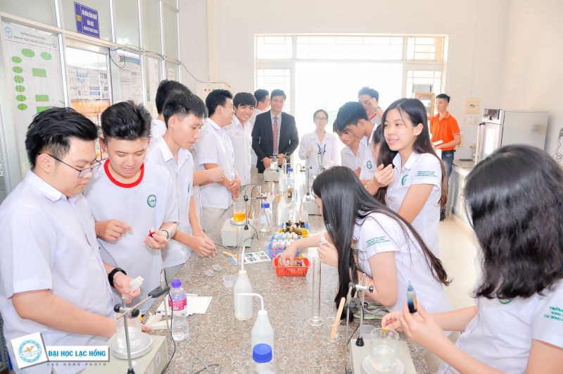 hoc phi truong song ngu lac hong 1