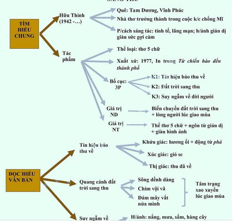 Vẽ sơ đồ tư duy sang thu đầy đủ nhất