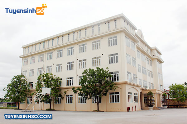 ma truong y hai phong